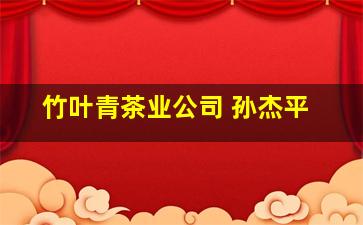 竹叶青茶业公司 孙杰平